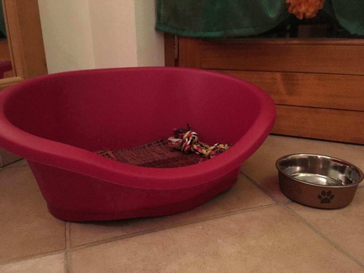 Bed and Breakfast La Stua Erbezzo Esterno foto